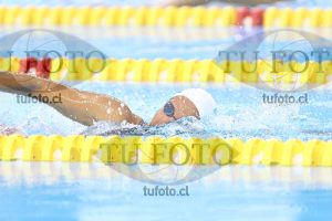 Image NC 800 L Damas 00186
