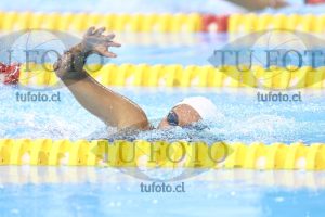 Image NC 800 L Damas 00187