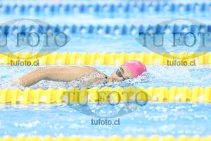 Image NC 800 L Damas 00189