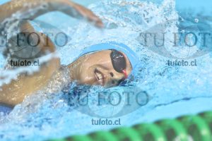Image NC 800 L Damas 00191
