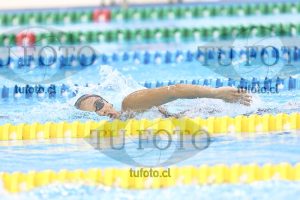 Image NC 800 L Damas 00192