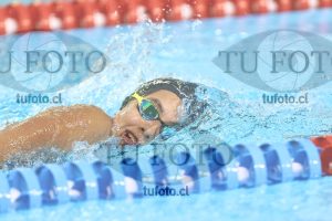 Image NC 800 L Damas 00194