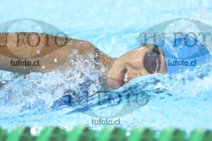 Image NC 800 L Damas 00200
