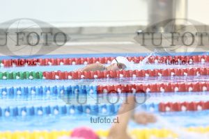 Image NC 800 L Damas 00201