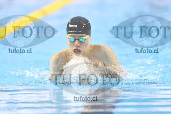 Image NC 13-14 100 pecho varones 00035