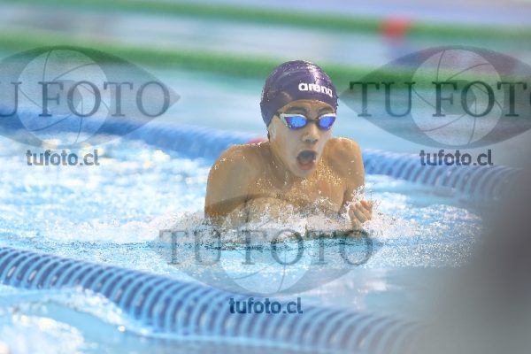 Image NC 13-14 100 pecho varones 00038