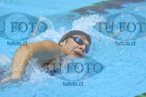 Image NC 15-17 400 libre damas 00088