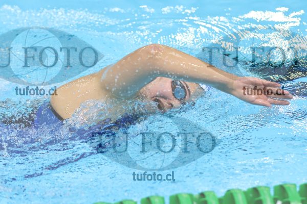 Image 1 00088