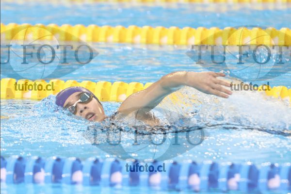 Image 6 00065