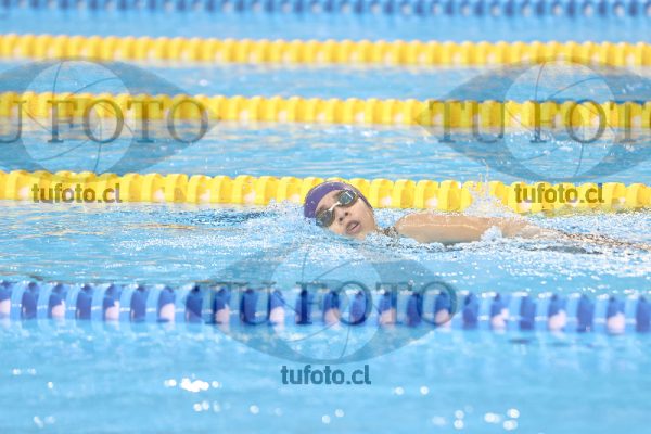 Image 6 00064