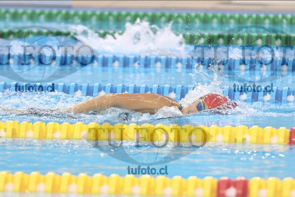 Image 7 00101