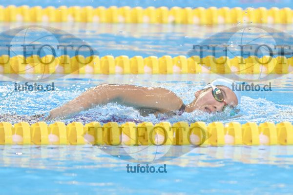 Image 7 00093