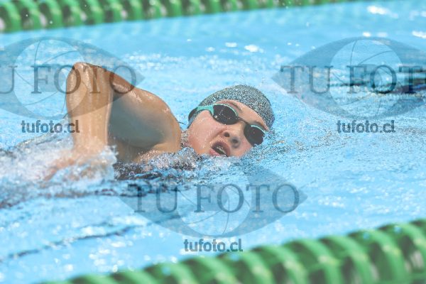 Image 7 00090
