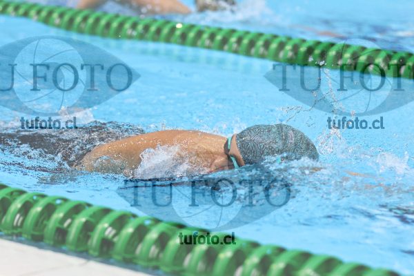 Image 7 00087