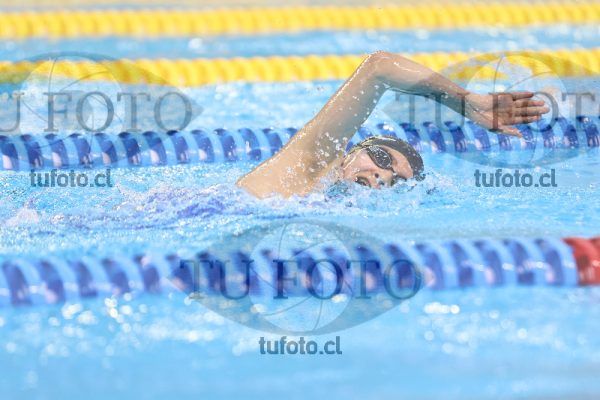 Image 7 00079