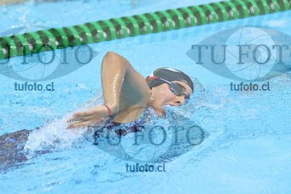 Image 7 00063