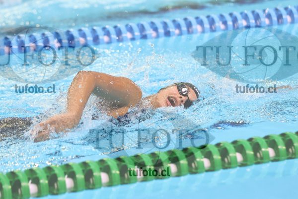 Image 7 00061