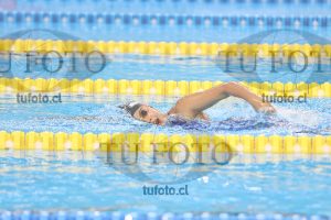 Image 8 00102