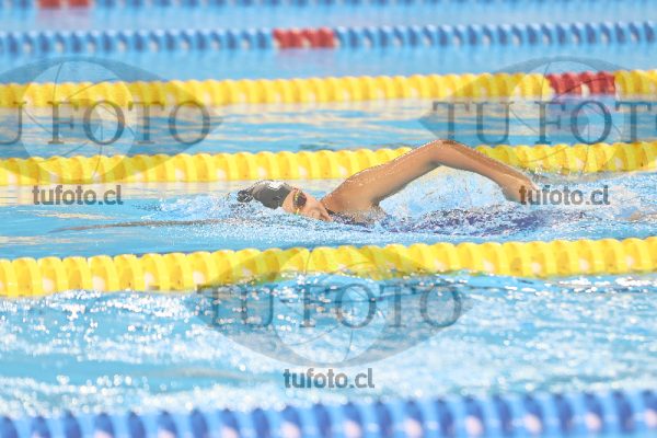 Image 8 00099
