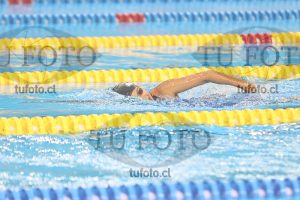 Image 8 00098