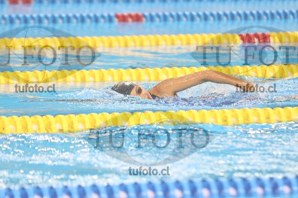Image 8 00098