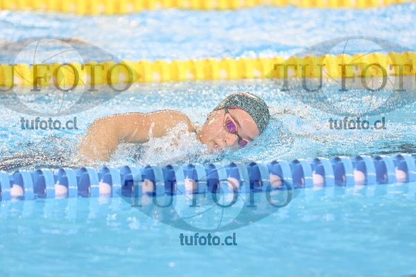 Image 8 00088