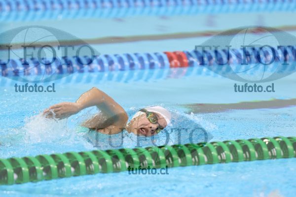 Image 9 00038