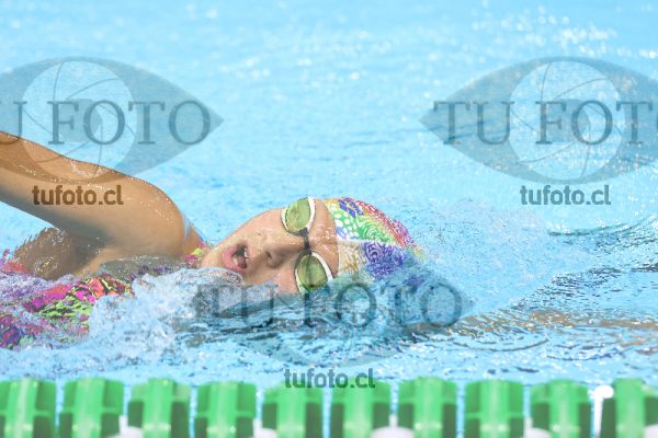 Image 10 00071
