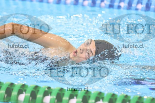 Image 10 00065