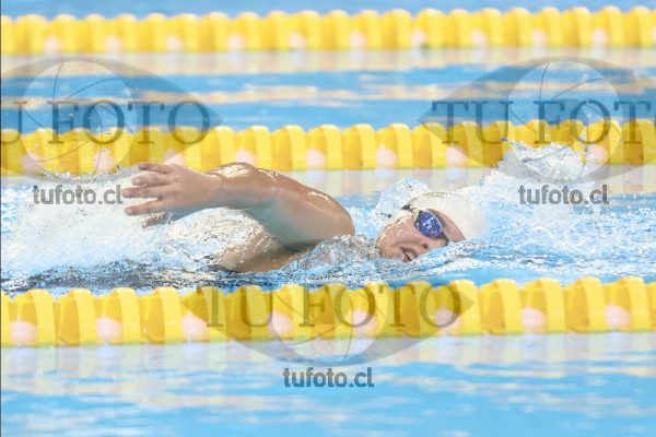 Image 10 00051