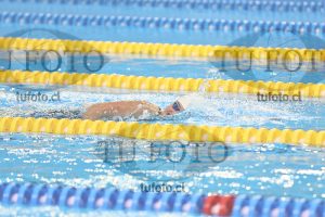 Image 10 00049