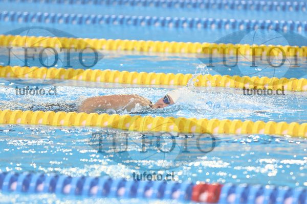 Image 10 00049