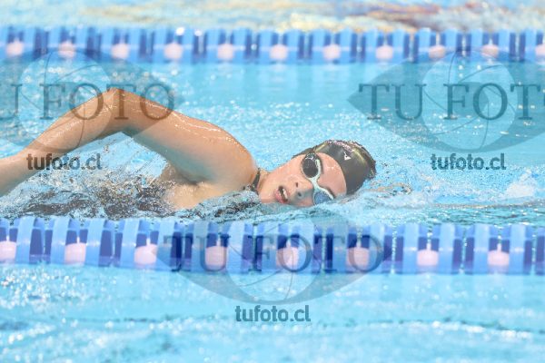 Image 10 00046