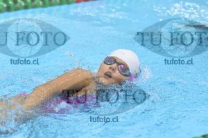 Image 12 00042