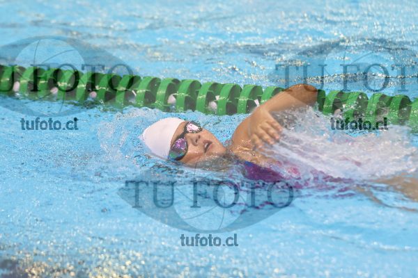Image 12 00031