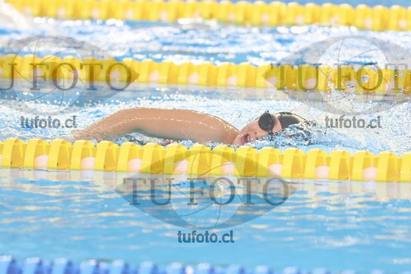 Image 13 00071