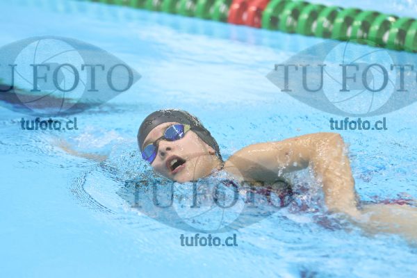 Image 13 00067