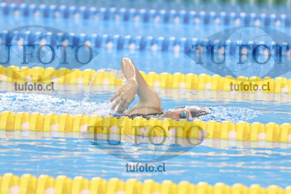 Image 13 00059