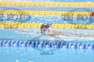 Image 13 00048