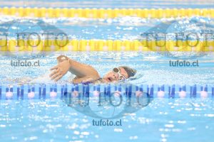 Image 13 00042