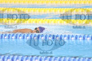 Image 14 00091