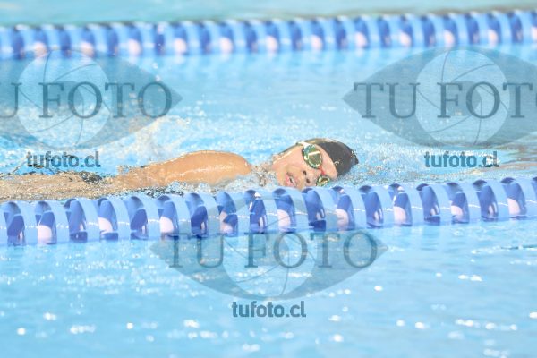 Image 14 00089
