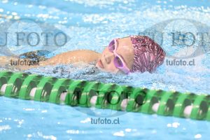Image 14 00079