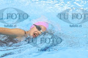 Image 14 00059