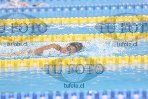 Image 14 00041