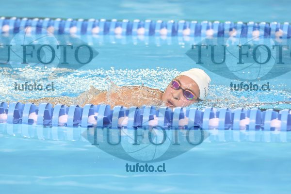Image 16 00091