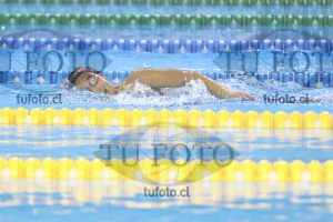 Image 16 00084