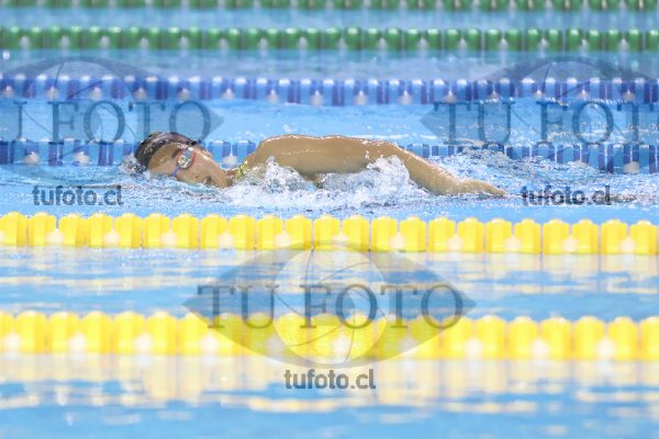 Image 16 00084
