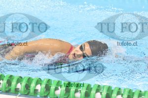 Image 16 00081