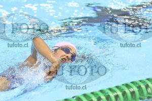 Image 16 00065